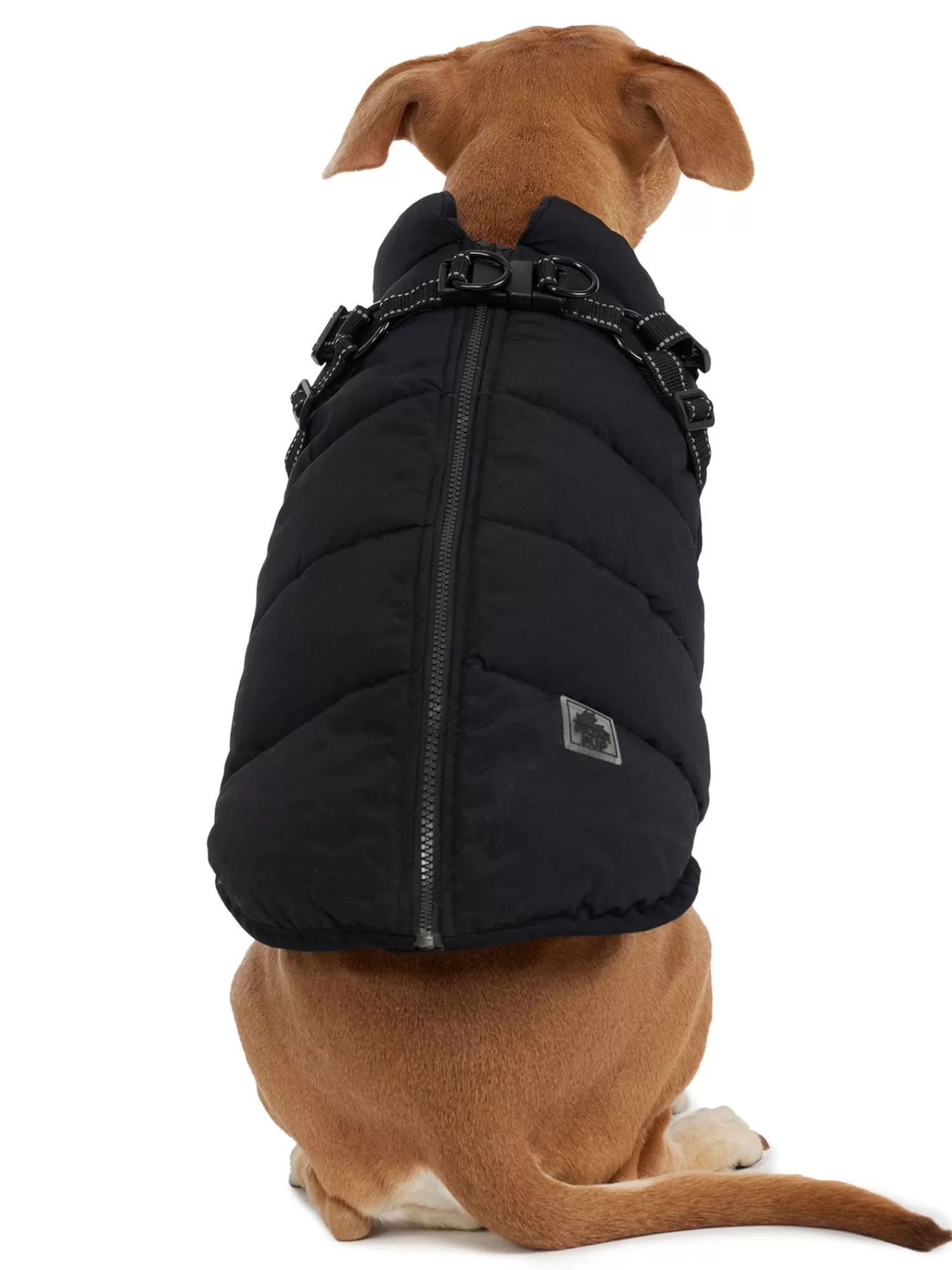 Pajar Manteaux Pour Chiens<Atlas Manteau Avec Harnais Ajustable Pour Chiens Noir