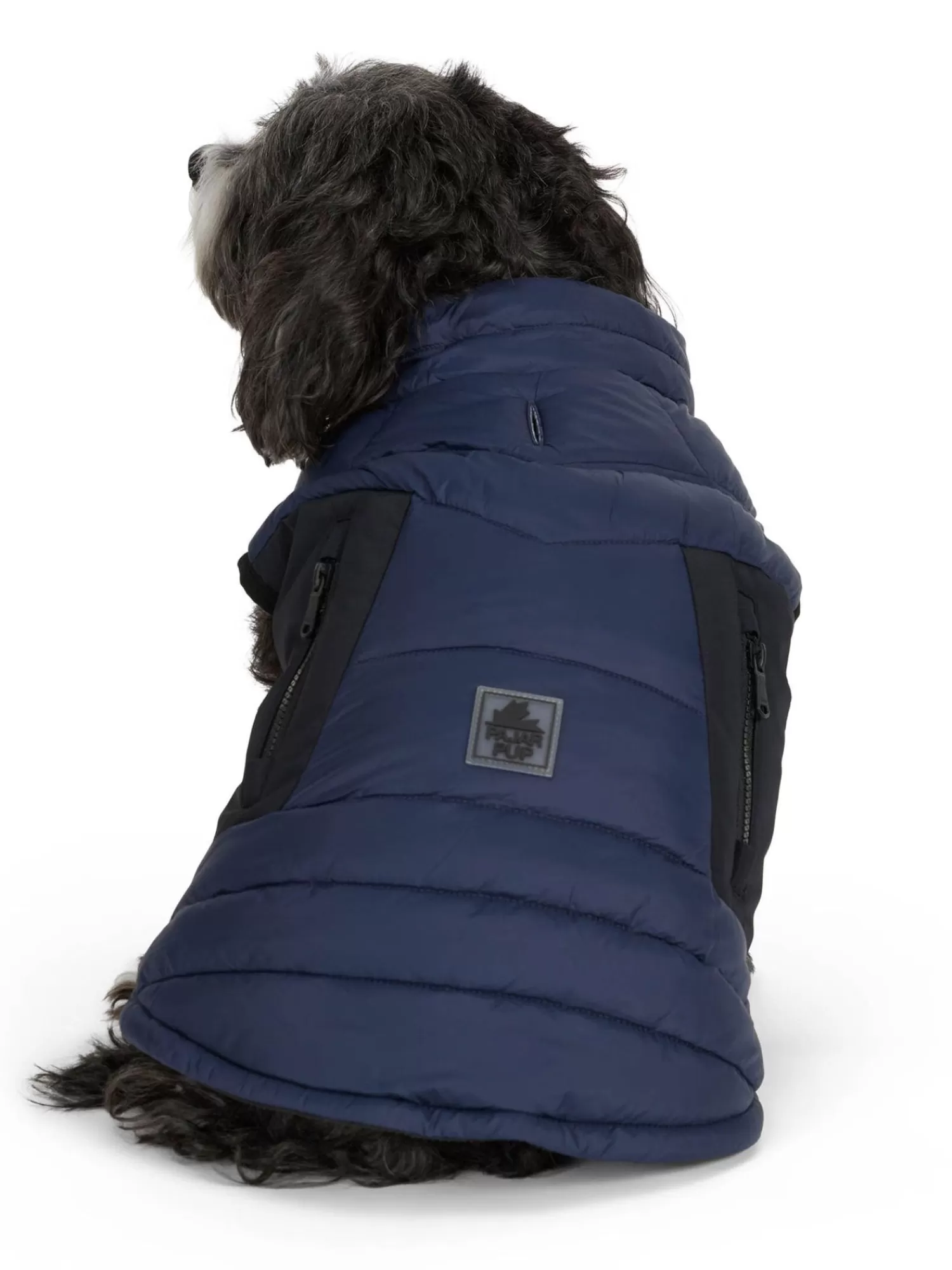 Pajar Manteaux Pour Chiens<Beau Manteau Avec Attache De Laisse Pour Chiens Bleu Marine