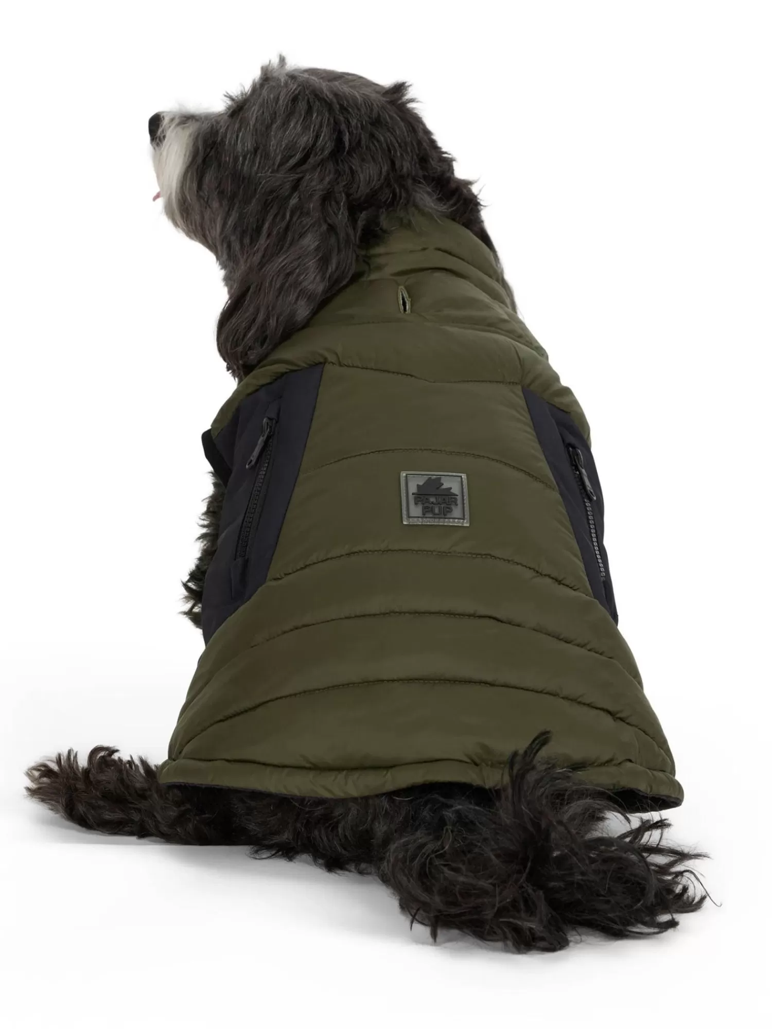 Pajar Manteaux Pour Chiens<Beau Manteau Avec Attache De Laisse Pour Chiens Militaire