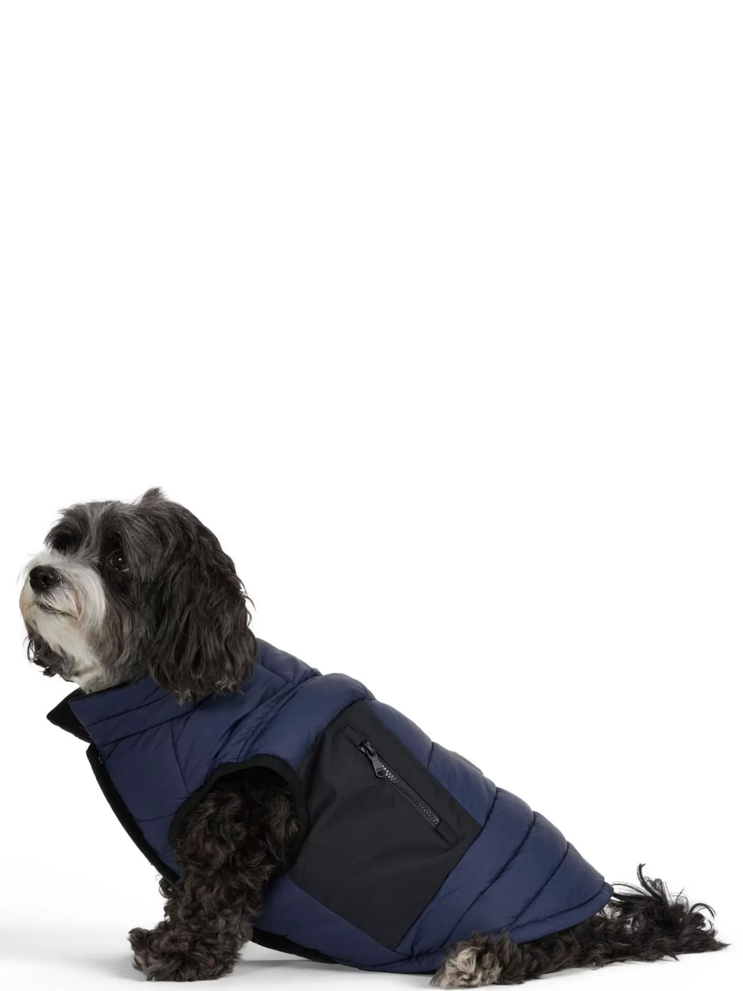 Pajar Manteaux Pour Chiens<Beau Manteau Avec Attache De Laisse Pour Chiens Bleu Marine