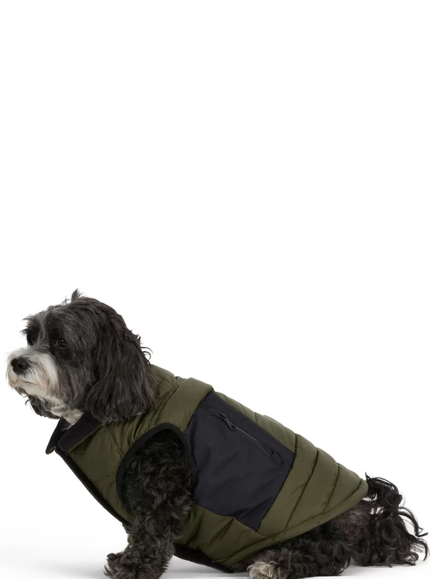 Pajar Manteaux Pour Chiens<Beau Manteau Avec Attache De Laisse Pour Chiens Militaire