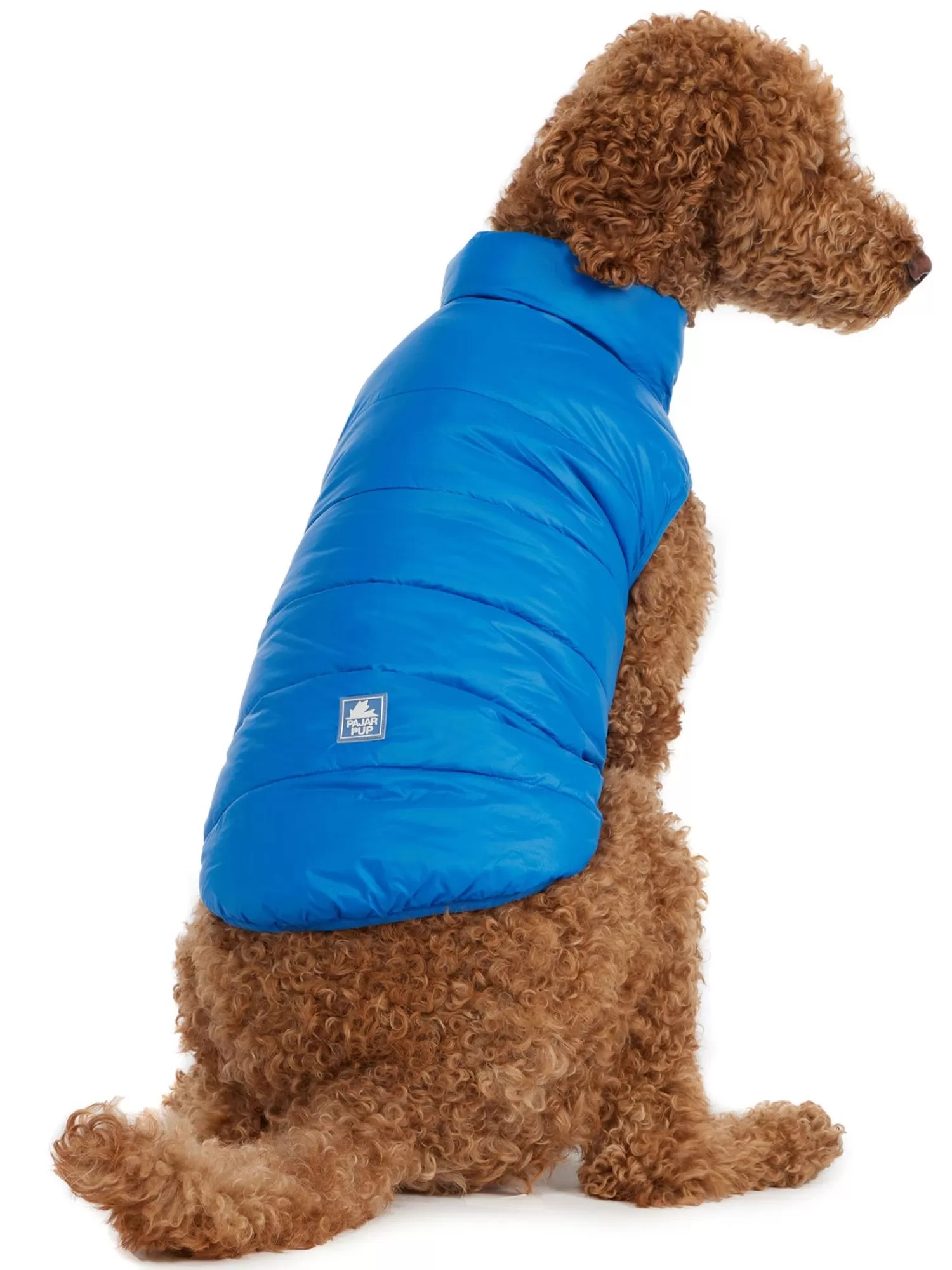 Pajar Manteaux Pour Chiens<Cora Manteau Reversible Et Compressible Pour Chiens Noir