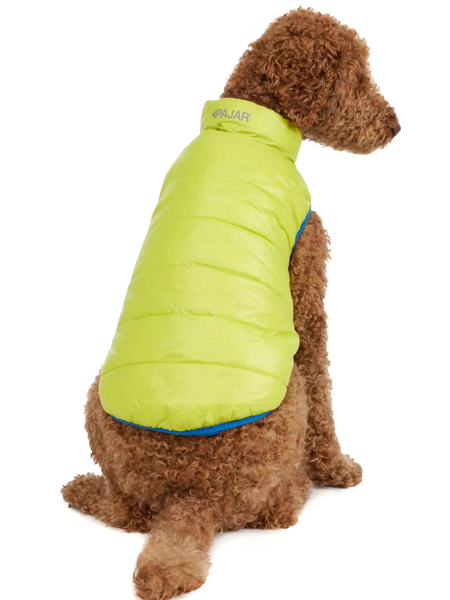 Pajar Manteaux Pour Chiens<Cora Manteau Reversible Et Compressible Pour Chiens Bleu