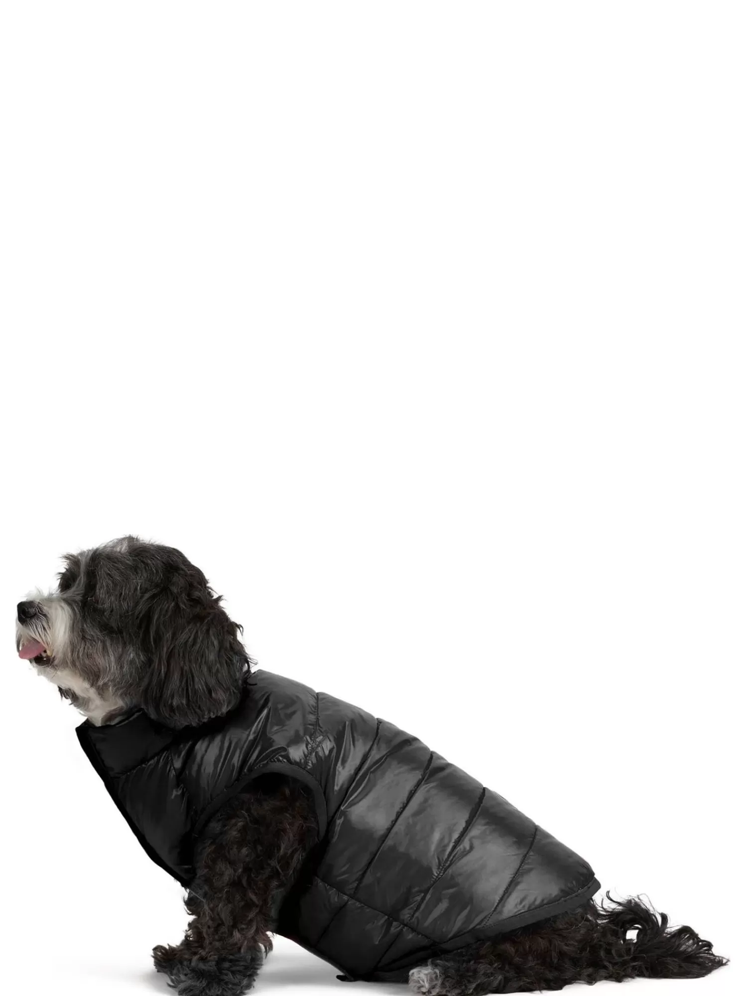 Pajar Manteaux Pour Chiens<Cora Manteau Reversible Et Compressible Pour Chiens Noir
