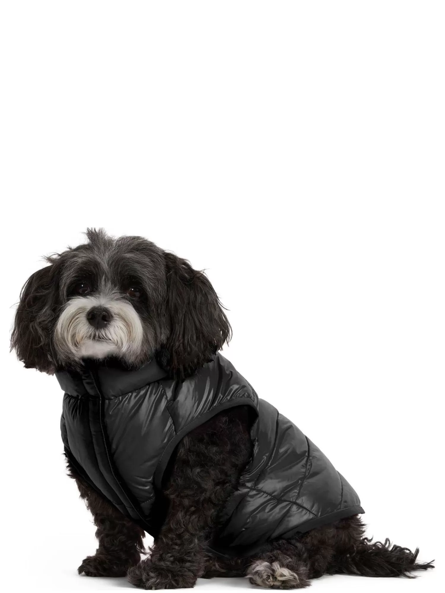 Pajar Manteaux Pour Chiens<Cora Manteau Reversible Et Compressible Pour Chiens Noir