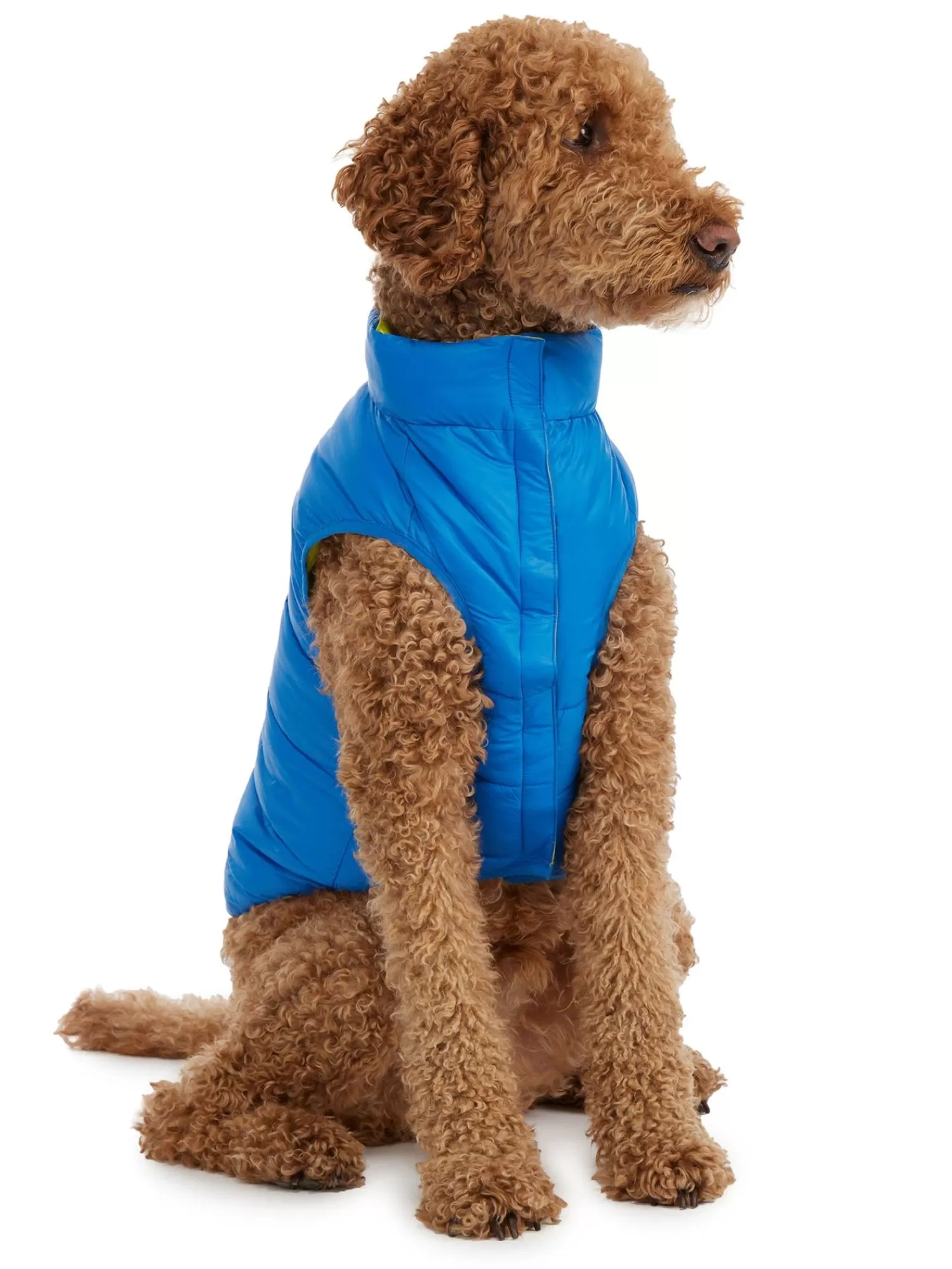 Pajar Manteaux Pour Chiens<Cora Manteau Reversible Et Compressible Pour Chiens Noir
