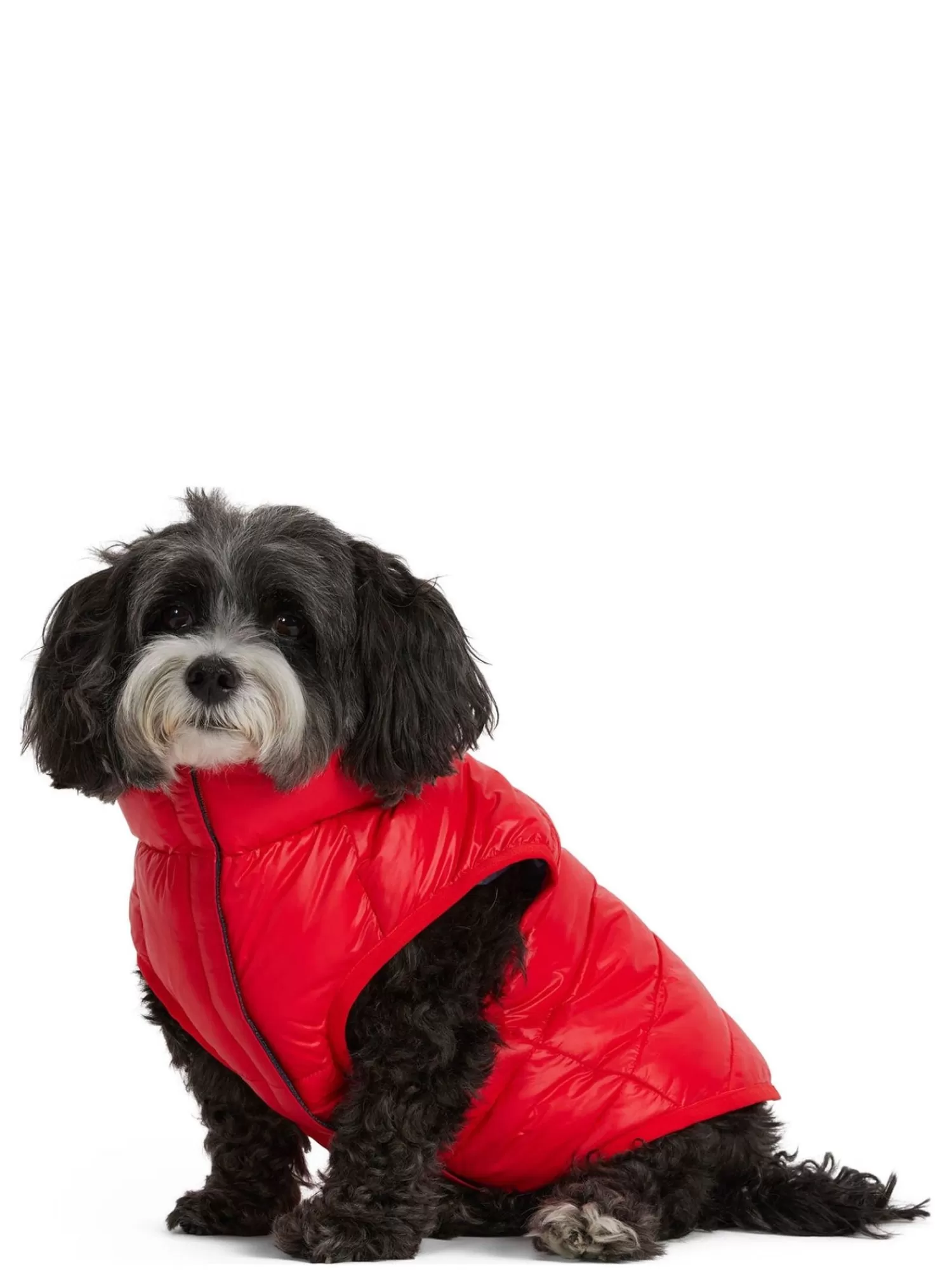 Pajar Manteaux Pour Chiens<Cora Manteau Reversible Et Compressible Pour Chiens Rouge Courant
