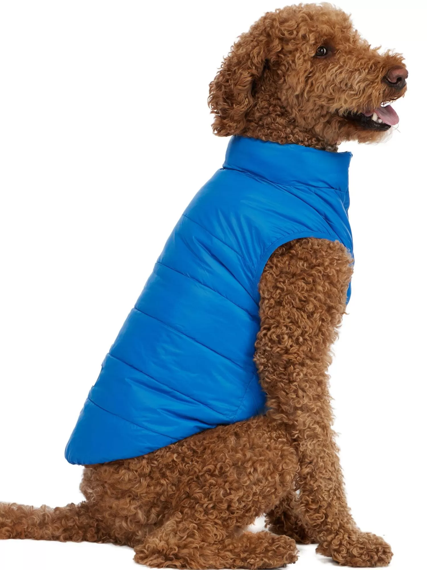 Pajar Manteaux Pour Chiens<Cora Manteau Reversible Et Compressible Pour Chiens Noir