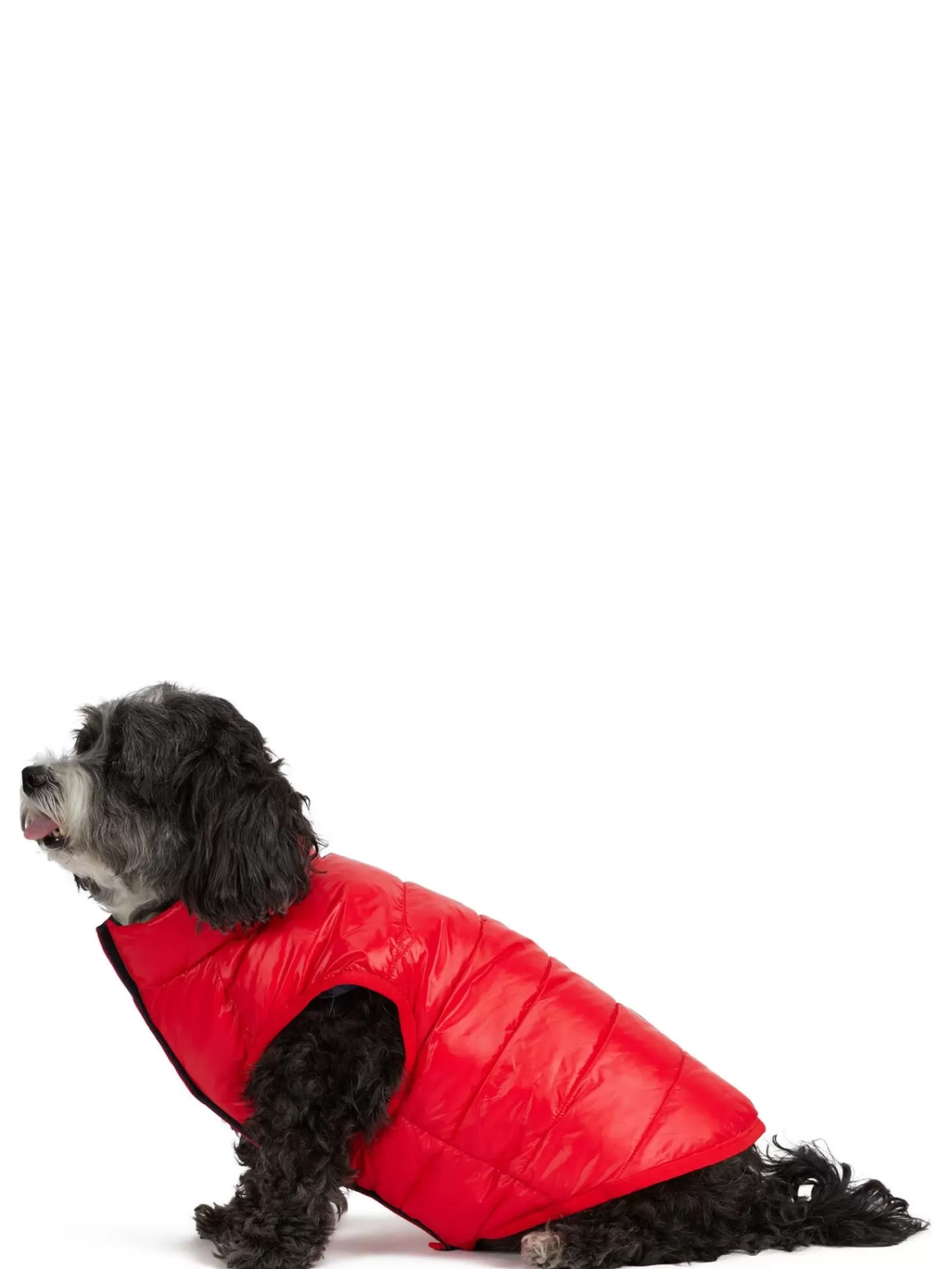 Pajar Manteaux Pour Chiens<Cora Manteau Reversible Et Compressible Pour Chiens Noir