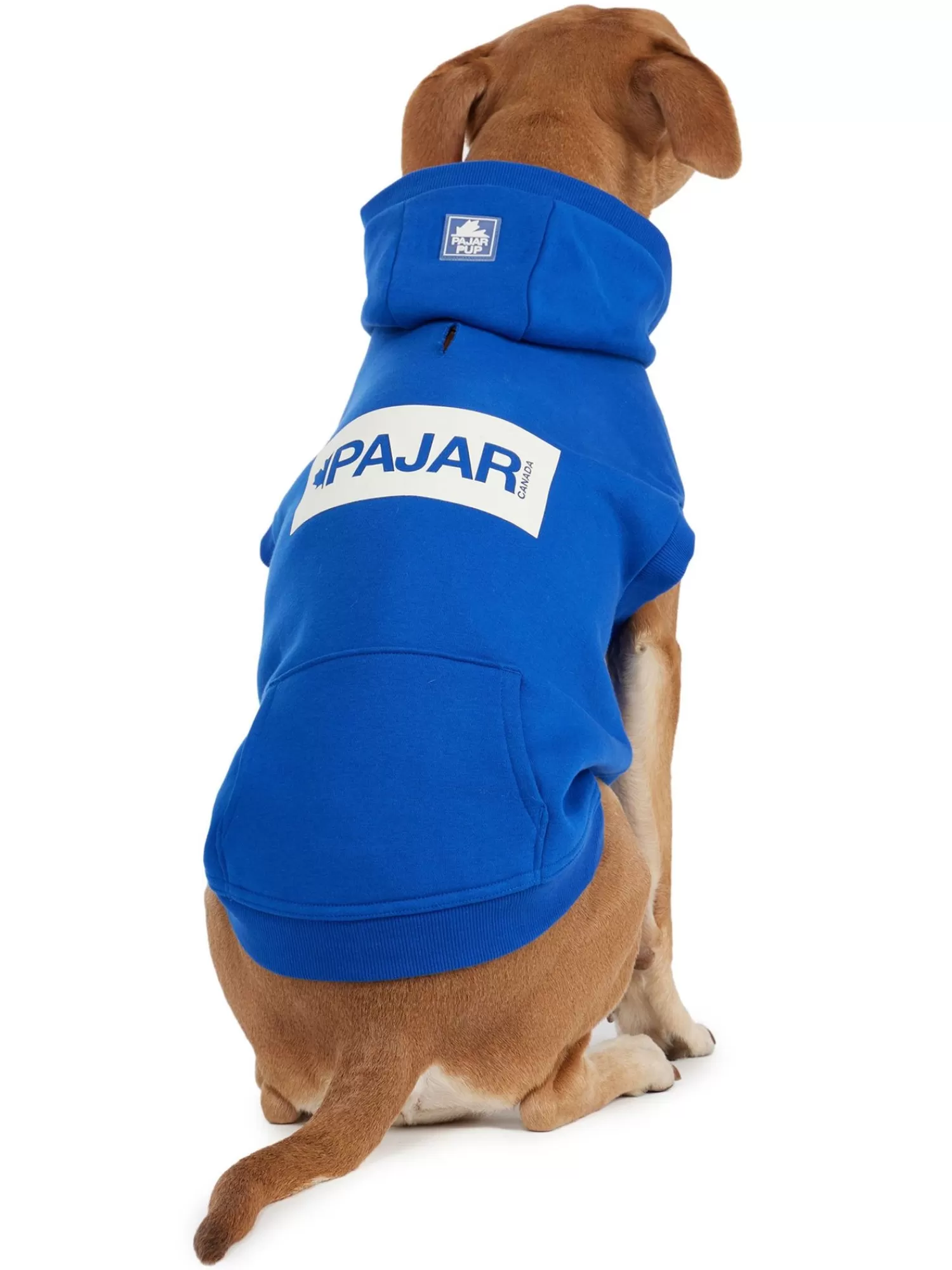 Pajar Manteaux Pour Chiens<Dash Capuche Pour Chiens Cobalt