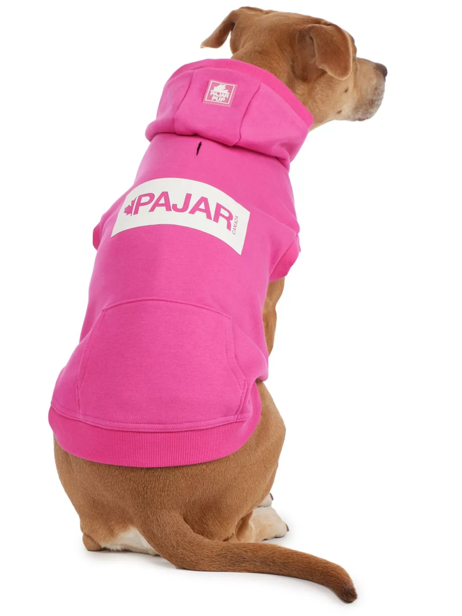 Pajar Manteaux Pour Chiens<Dash Capuche Pour Chiens Rose