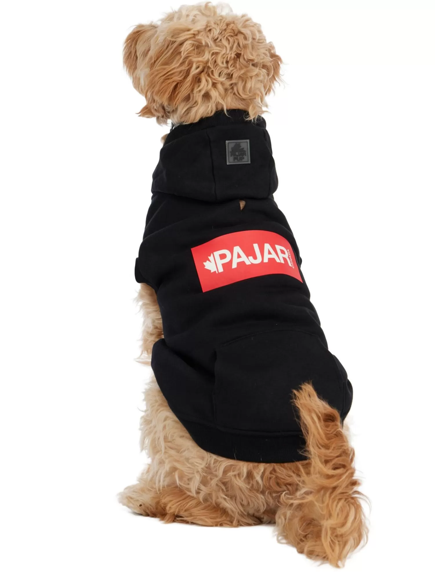 Pajar Manteaux Pour Chiens<Dash Capuche Pour Chiens Noir