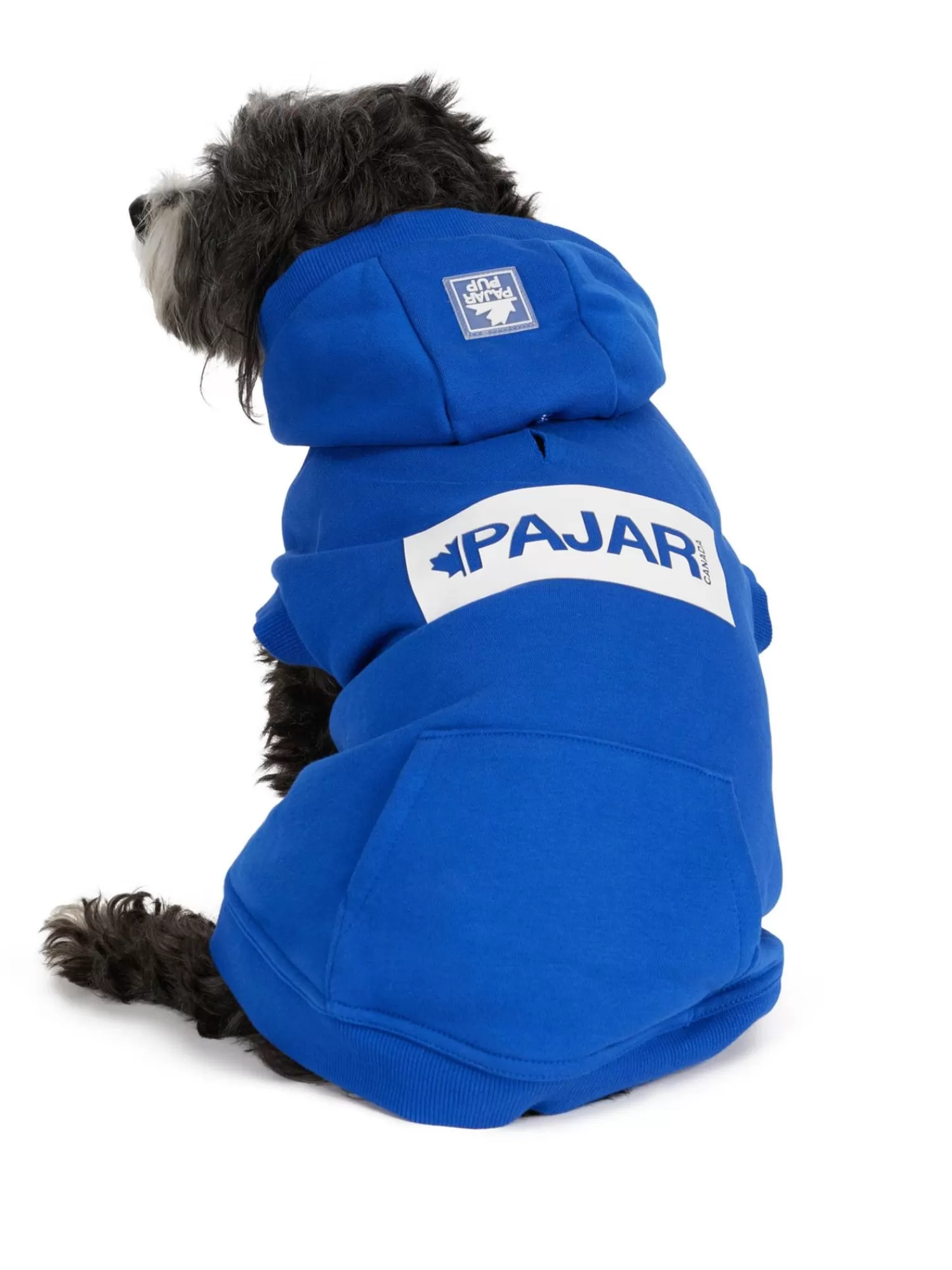 Pajar Manteaux Pour Chiens<Dash Capuche Pour Chiens Cobalt