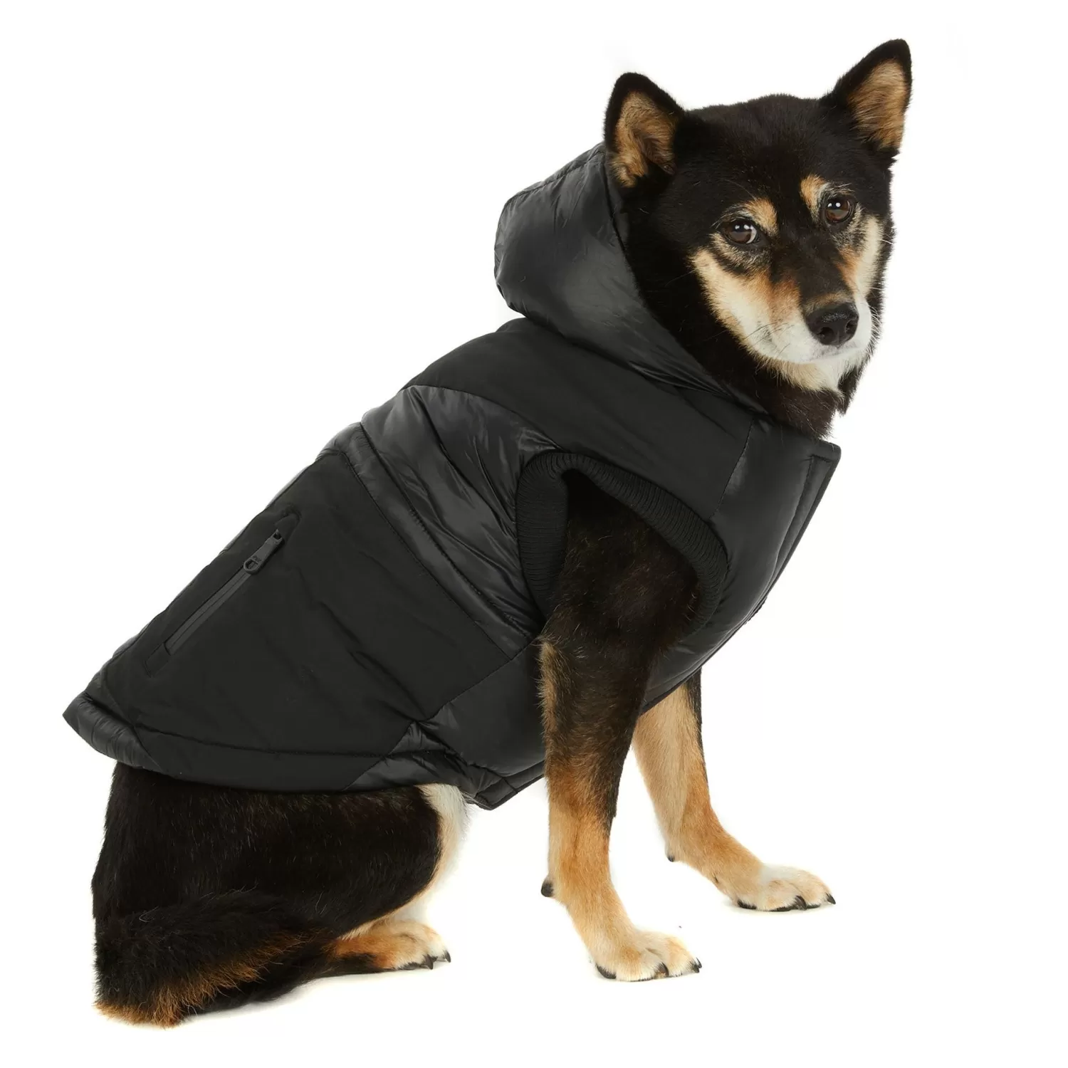 Pajar Manteaux Pour Chiens<Mattie Manteau Pour Chiens Noir