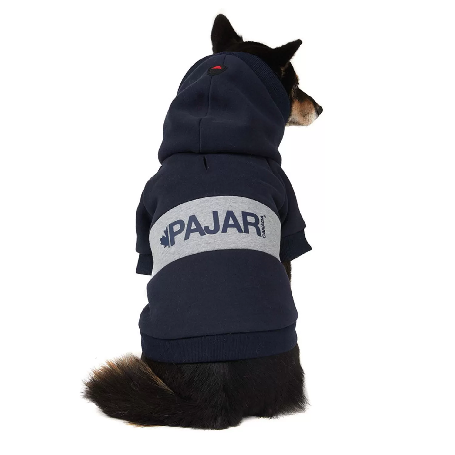 Pajar Manteaux Pour Chiens<Osler Pull A Capuche Pour Chiens Bleu Marine