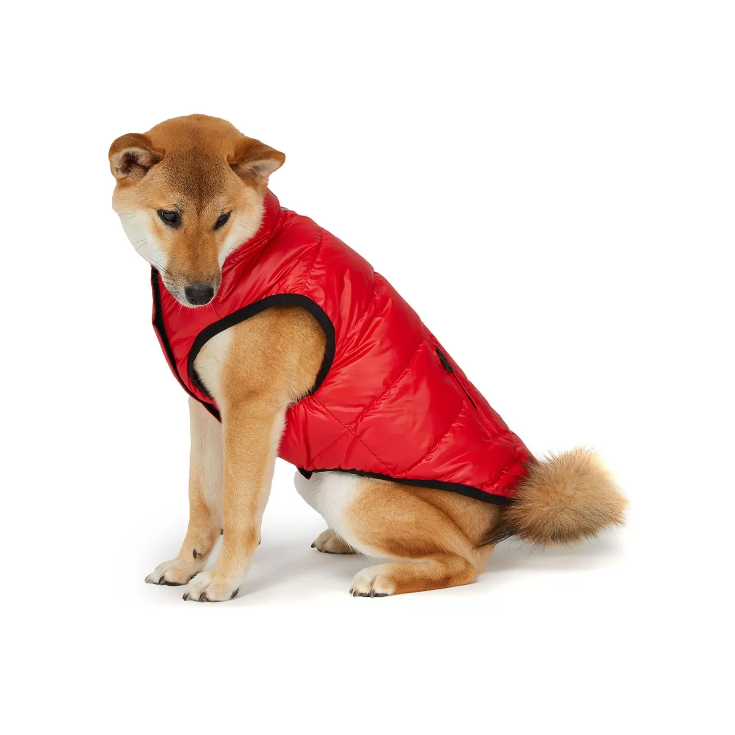 Pajar Manteaux Pour Chiens<Skana Manteau Reversible Pour Chiens Rouge Courant