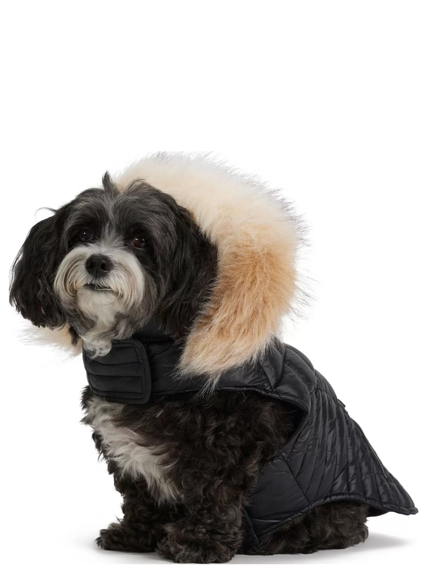 Pajar Manteaux Pour Chiens<Zola Manteau Pour Chiens Avec Contour En Fausse Fourrure Noir